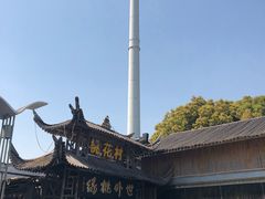 -南汇桃花村