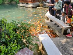 -兰溪地下长河