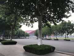 -南京奥林匹克体育中心-体育馆