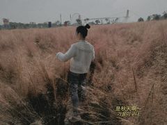 -花博汇(知音花月夜)