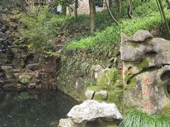 -十八棵（老龙井）御茶园(老龙井店)