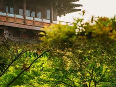 -杭州半山国家森林公园