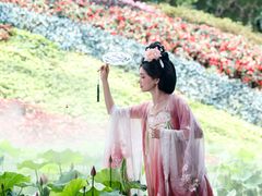 -花之城