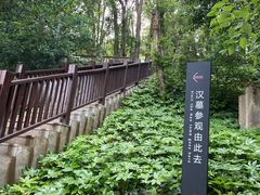 -马王堆汉墓遗址