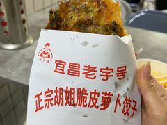 -半月镰胡姐脆皮萝卜饺子