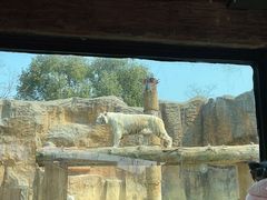 -杭州野生动物世界