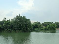 -三垟湿地