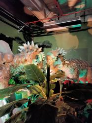 -恐龙探索乐园(磁器口店)