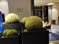-天瑞轩·粤菜餐厅