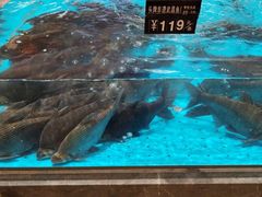 -艳阳天·非遗楚菜(武汉客厅店)