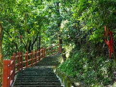 -广州白江湖森林公园