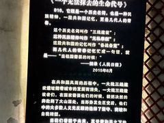 -816工程景区