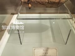 -邹城博物馆