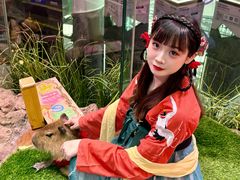 -正佳雨林生态植物园