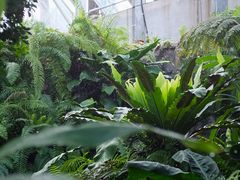 -国家植物园南园