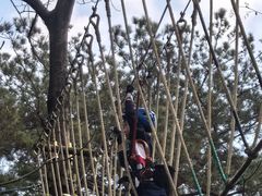 -芦仙山景区-飞越丛林探险乐园