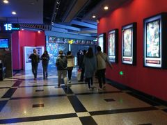 -万达影城(锦华万达广场IMAX店)