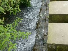 -桤木河湿地公园