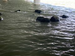 -阳澄湖半岛旅游度假区