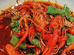 -京悦南门涮羊肉·羊蝎子火锅(田林路店)