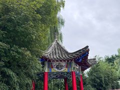 -燕郊植物园