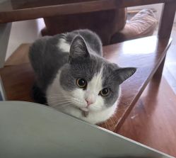 -ChuLian初莲日式美甲美睫