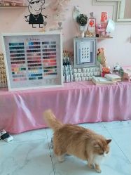 -JX今喜美甲美睫