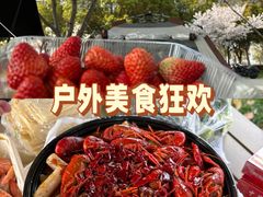 -贡湖湾湿地公园