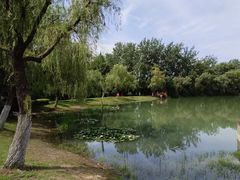 -合肥生态公园