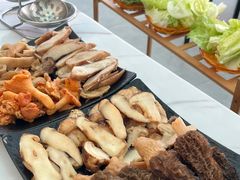 -蘑统田下·野生菌火锅