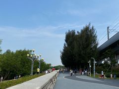 -宝安西湾红树林湿地公园