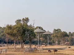 -宁波野生动物园