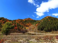-塞罕坝国家级自然保护区