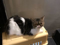 -小时光咖啡馆(北锣鼓巷店)