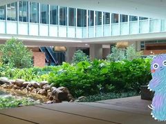 -香港大学