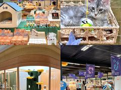 -帕帕拉兹宠物(亚洲旗舰店)