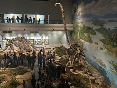 -自贡恐龙博物馆