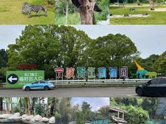 -宁波野生动物园
