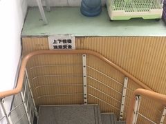 -总动员动物医院(宝丰院店)