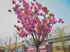 -丁先生蛋糕·品质鲜作(桐梓林店)