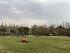-复旦大学光华楼