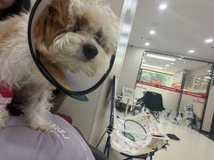 -御宝贝24h宠物医院·转诊中心·CT核磁血透中心(厦门总院)