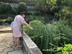 -杭州西湖风景名胜区-三生石
