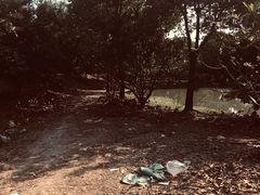 -塘栖枇杷特色园区