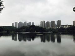 -重庆彩云湖湿地公园
