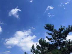 -莲池书院博物馆