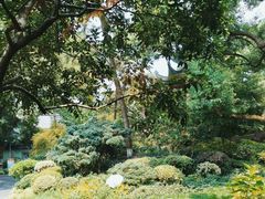 -浙江西子宾馆·瑶园咖啡厅