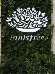 点击看大图 -悦诗风吟innisfree