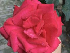 -过锅瘾三汁焖锅(东星时代广场店)