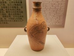 -甘肃省博物馆